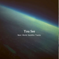 You See/*24bit48khz/Next World Satellite Tracks